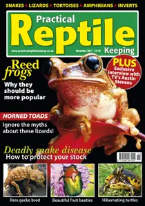 No.30 Reed Frogs 
                issue No.30 Reed Frogs