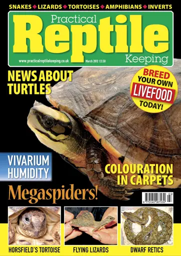 Practical Reptile Keeping Preview