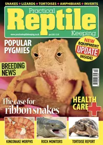 No.35 Popular Pygmie 
                issue No.35 Popular Pygmie