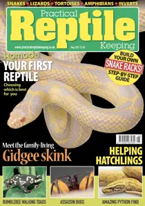 No.36 Your first reptile 
                issue No.36 Your first reptile