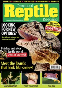 No.38 Buying a Reptile 
                issue No.38 Buying a Reptile
