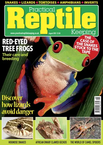 Practical Reptile Keeping Preview