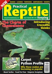 No.4 Chameleons & Carpet Pythons 
                issue No.4 Chameleons & Carpet Pythons