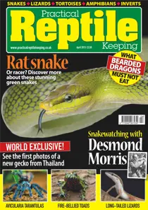No.47 Rat Snake 
                issue No.47 Rat Snake