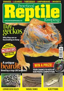 No.50 Day Gecko 
                issue No.50 Day Gecko