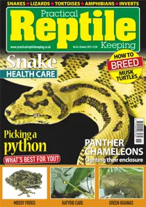 No.54 Picking a python 
                issue No.54 Picking a python