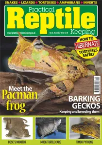 No.55 Meet the Pacman Frog 
                issue No.55 Meet the Pacman Frog