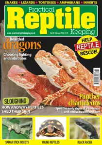 No.58 Bearded dragons - Choosing lighting and substrates 
                issue No.58 Bearded dragons - Choosing lighting and substrates