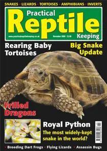 No.6 Rearing Baby Tortoises 
                issue No.6 Rearing Baby Tortoises