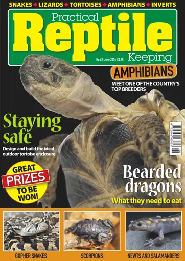 Practical Reptile Keeping Preview