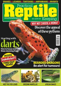 No.63 Starting with Darts 
                issue No.63 Starting with Darts