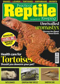 No.64 Health Care for Tortoises 
                issue No.64 Health Care for Tortoises