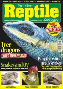 No.66 Tree Dragons - Enter their world 
                issue No.66 Tree Dragons - Enter their world