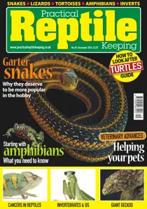 No.69 Garter Snakes 
                issue No.69 Garter Snakes