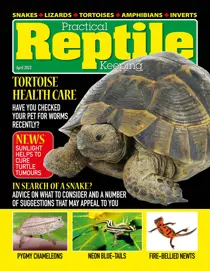 Practical Reptile Sample 
                issue Practical Reptile Sample