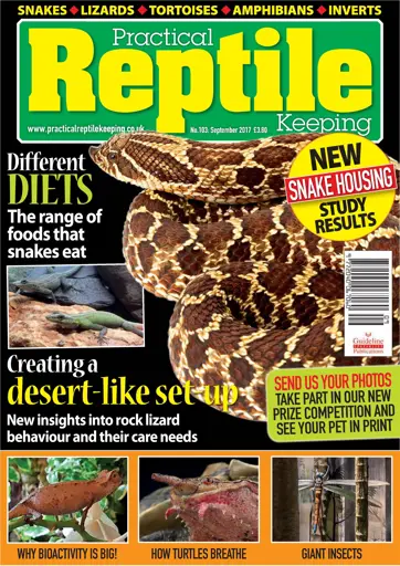 Practical Reptile Keeping Preview