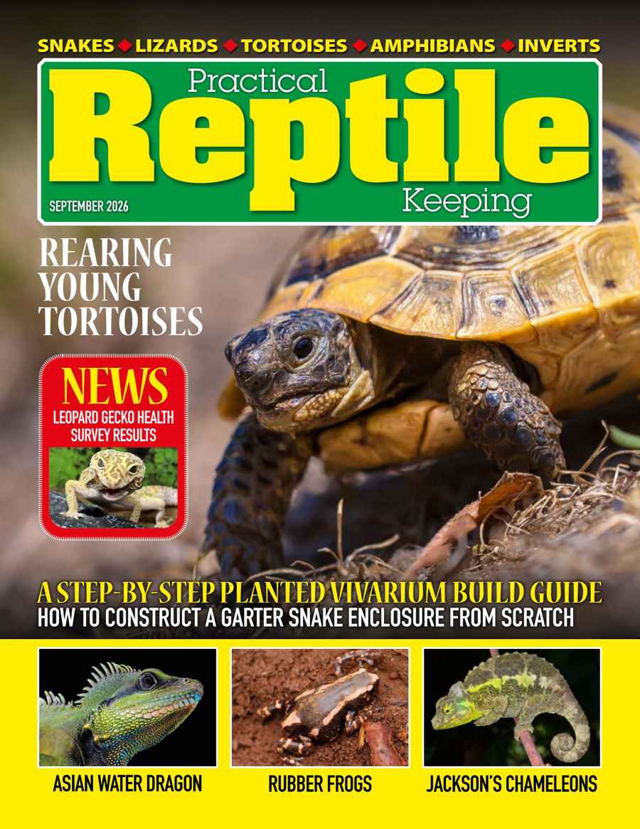 Practical Reptile Keeping issue September 2026