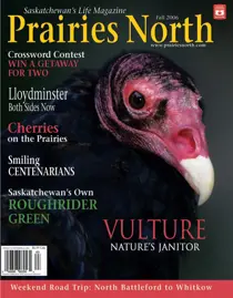 Fall 2006 
                issue Fall 2006