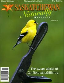 Spring 2000 
                issue Spring 2000