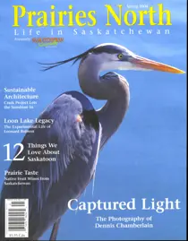 Spring 2004 
                issue Spring 2004