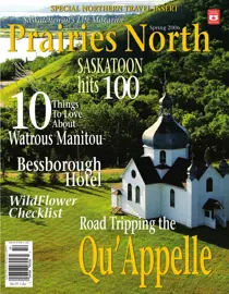 Spring 2006 
                issue Spring 2006