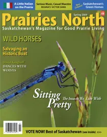 Spring 2009 
                issue Spring 2009