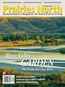 Spring 2010 
                issue Spring 2010