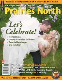 Spring 2013 
                issue Spring 2013