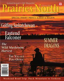 Summer 2006 
                issue Summer 2006