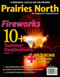 Summer 2016 
                issue Summer 2016