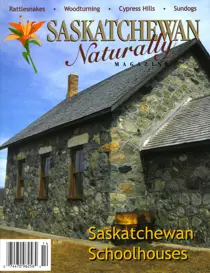 Winter 1999 
                issue Winter 1999