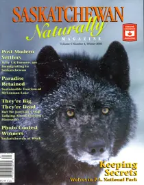 Winter 2003 
                issue Winter 2003