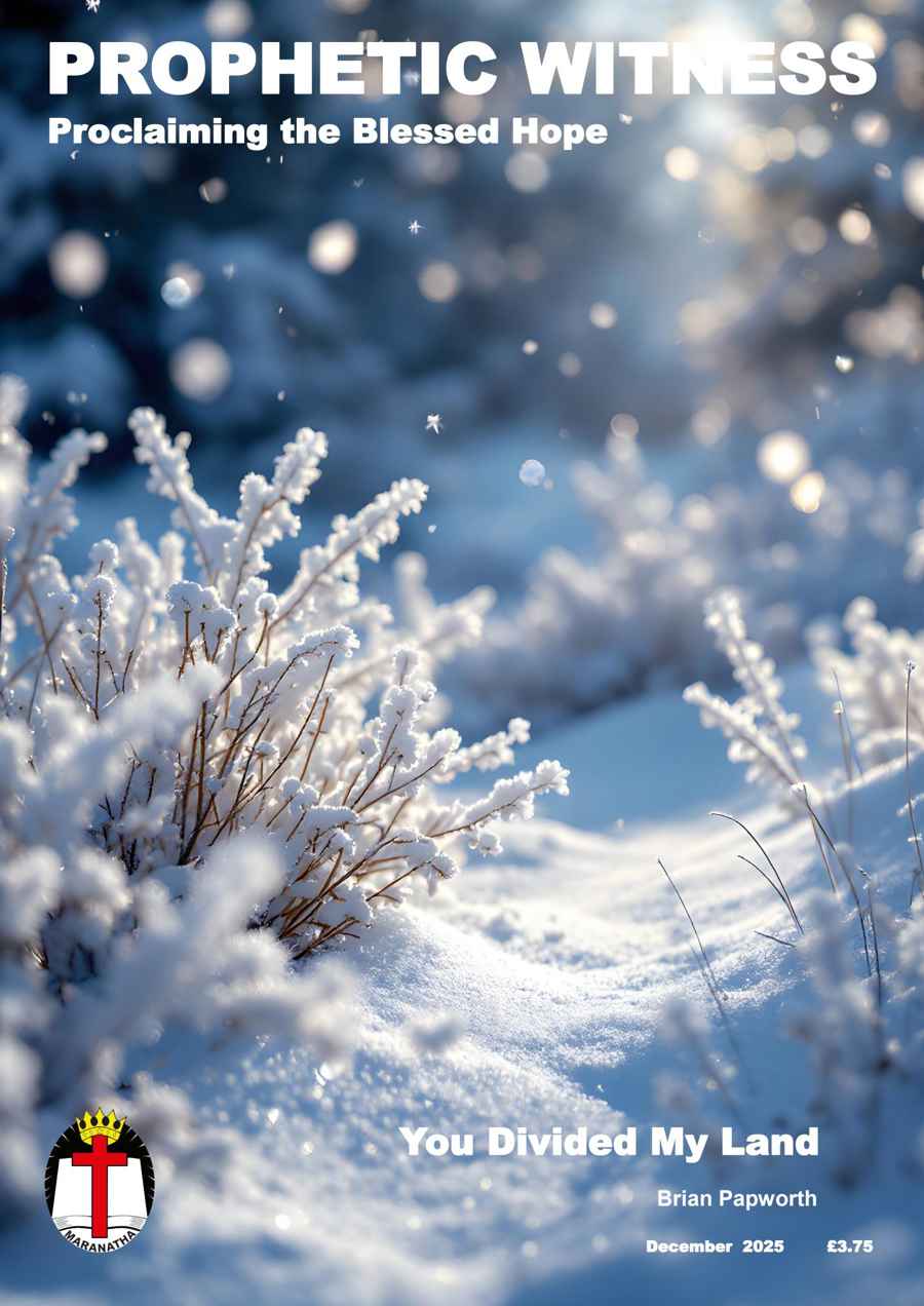 Prophetic Witness issue Prophetic Witness Magazine