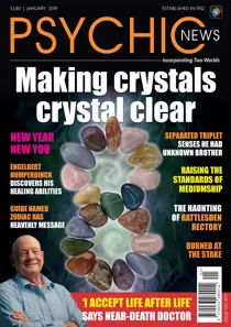 January 2019 
                issue January 2019