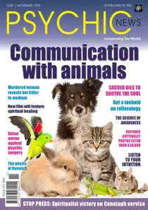 November 2018 
                issue November 2018