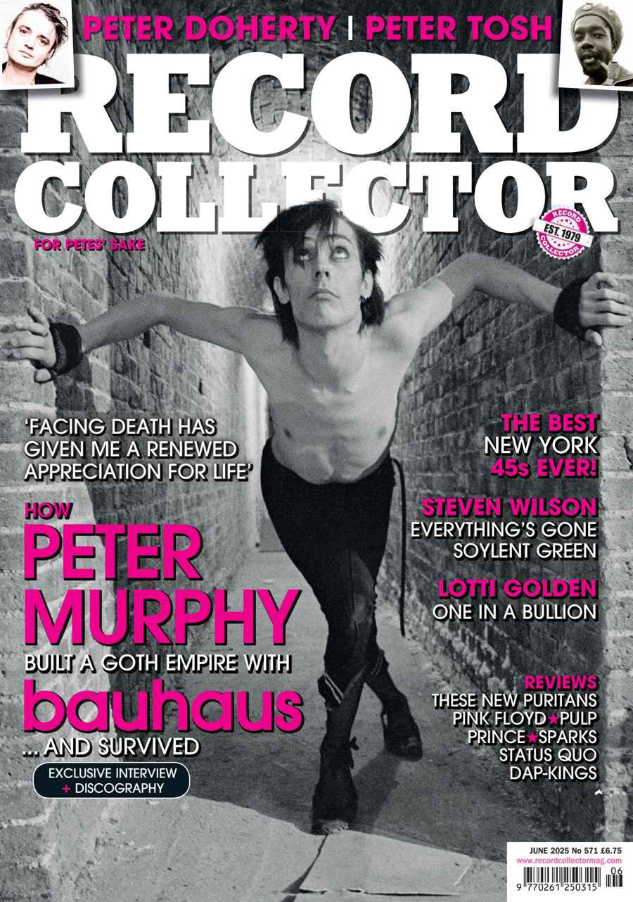 RECORD COLLECTOR