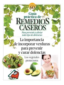 Fasciculo 2 - 2026 
                issue Fasciculo 2 - 2026