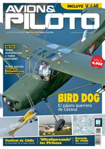 Número 39 
                issue Número 39