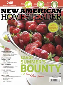 New American Homesteader 
                issue New American Homesteader