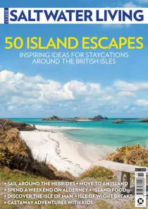 Issue 11 
                issue Issue 11