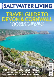 Issue 9 
                issue Issue 9