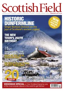 February 2017 
                issue February 2017
