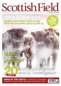 January 2017 
                issue January 2017