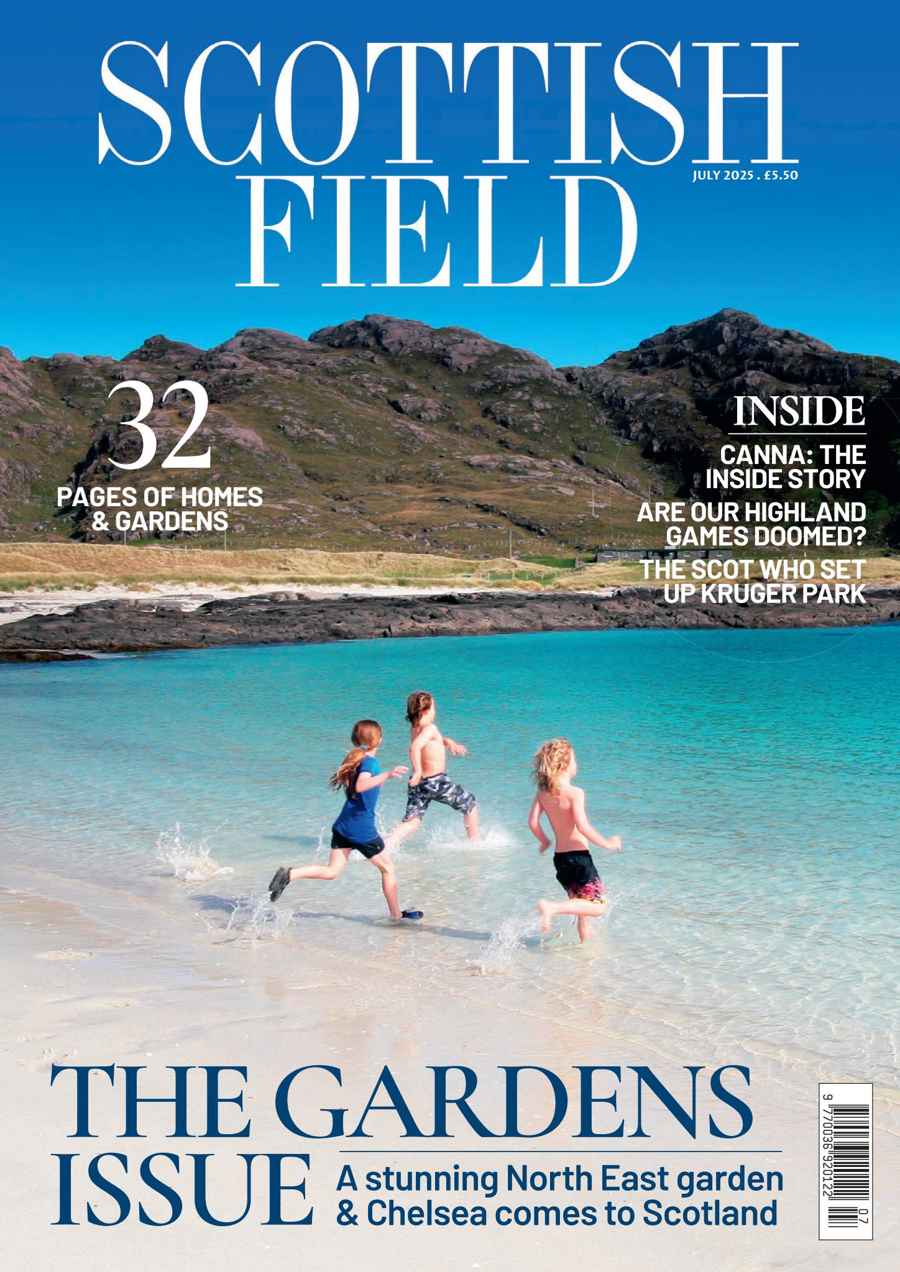 SCOTTISH FIELD