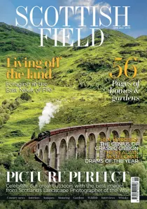 June 2021 
                issue June 2021