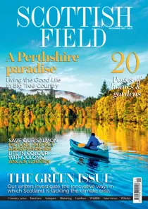 November 2021 
                issue November 2021