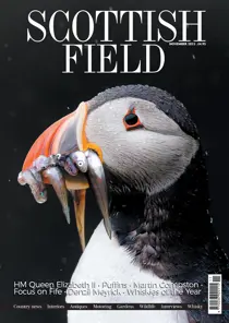 November 2022 
                issue November 2022