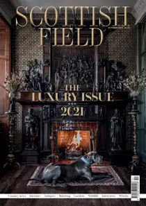 October 2021 
                issue October 2021