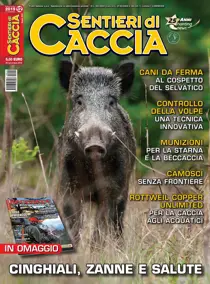 Dicembre 2019 
                issue Dicembre 2019