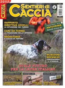 Giugno 2017 
                issue Giugno 2017
